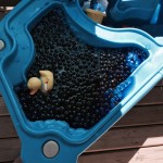 Crystal Beads in the Water Table